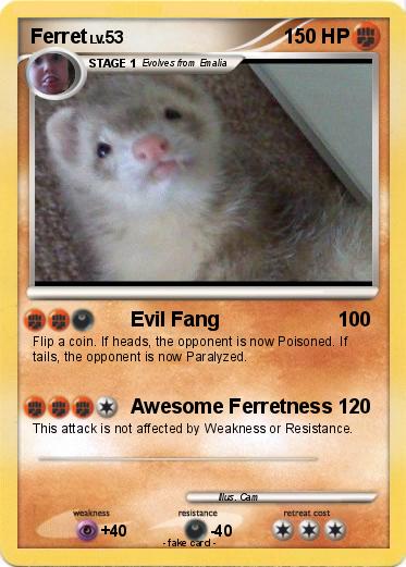 Pokemon Ferret