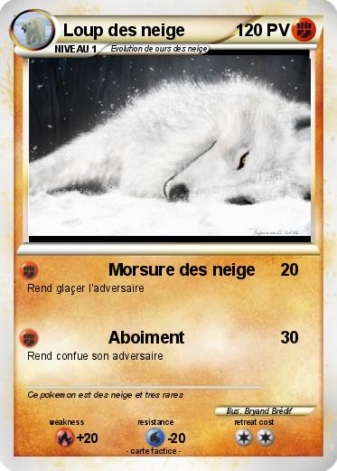 Pokemon Loup des neige