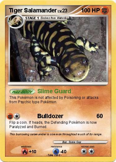 Pokemon Tiger Salamander
