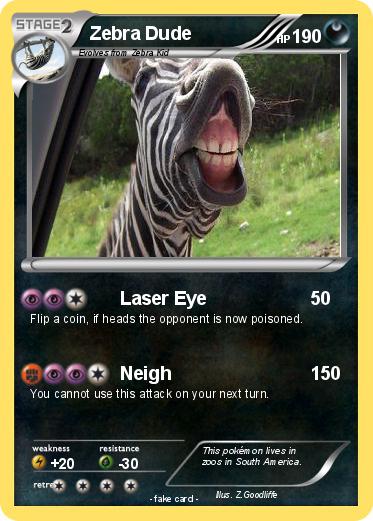 Pokemon Zebra Dude