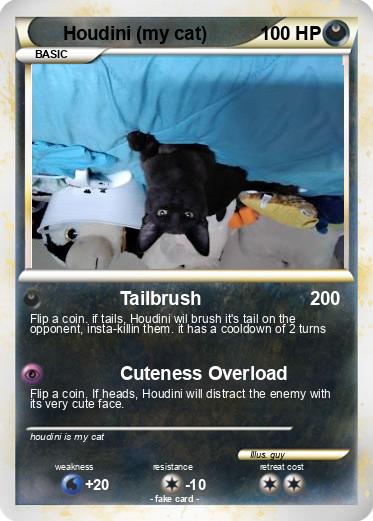 Pokemon Houdini (my cat)
