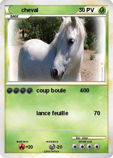 Pokemon cheval