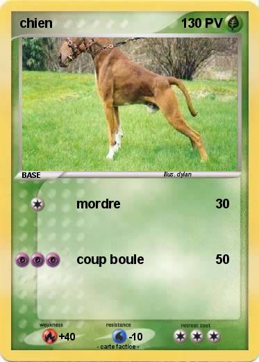 Pokemon chien