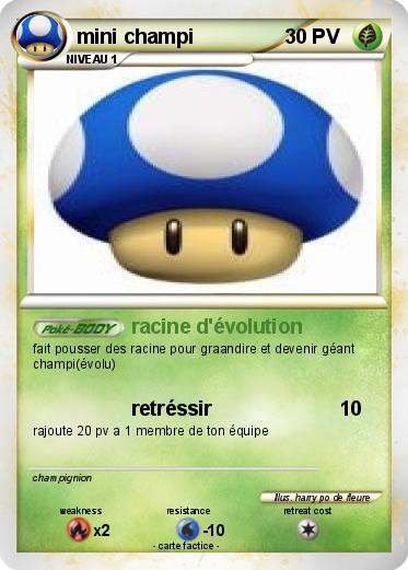Pokemon mini champi