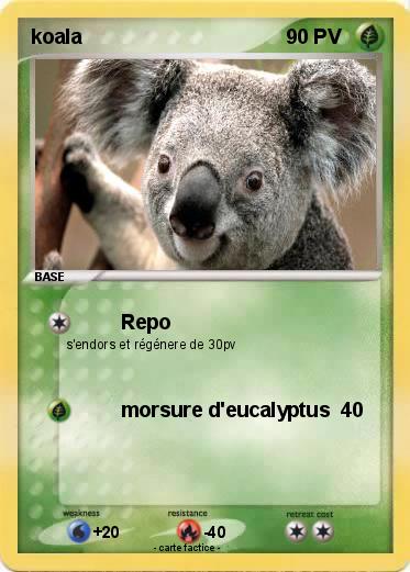 Pokemon koala