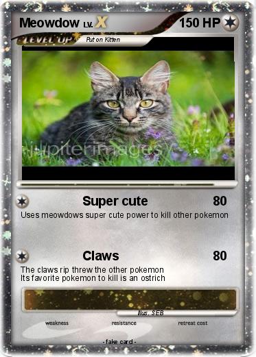 Pokemon Meowdow