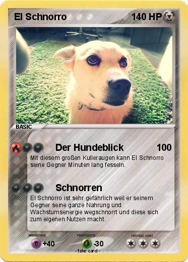 Pokemon El Schnorro