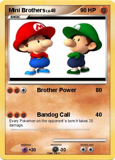 Pokemon Mini Brothers