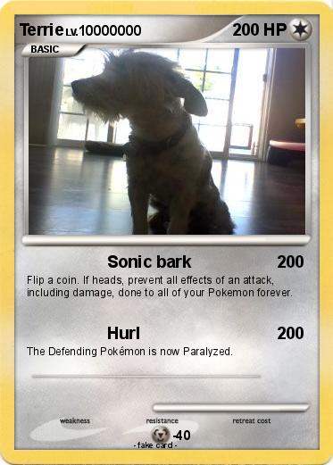 Pokemon Terrie