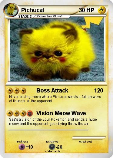 Pokemon Pichucat