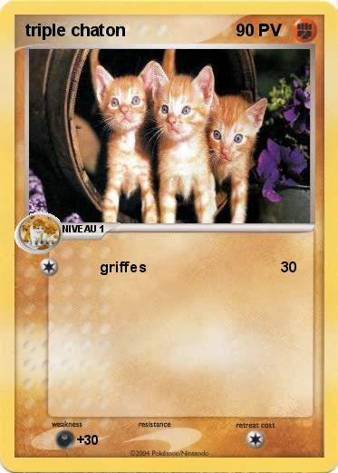Pokemon triple chaton