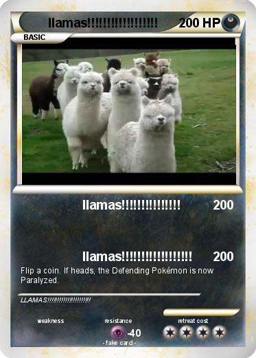 Pokemon llamas!!!!!!!!!!!!!!!!!!