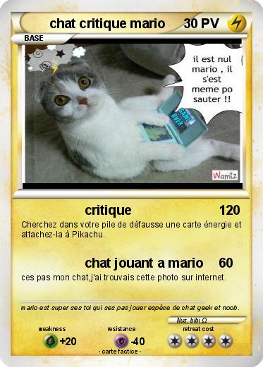 Pokemon chat critique mario
