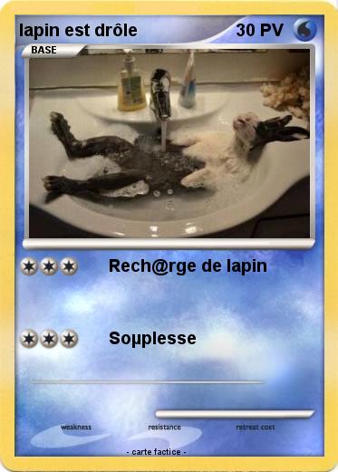 Pokemon lapin est drôle