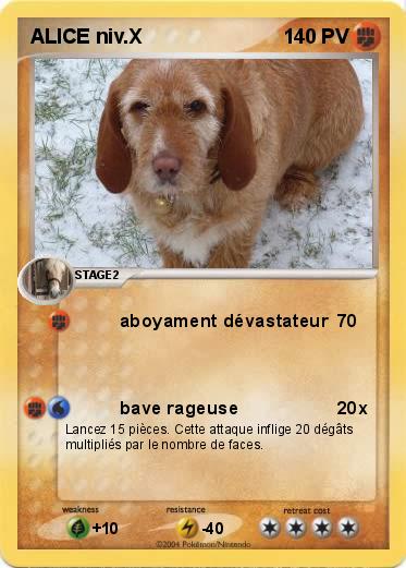 Pokemon ALICE niv.X