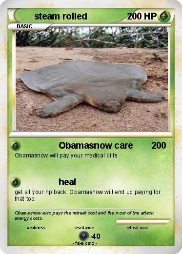 Pokemon steam rolled