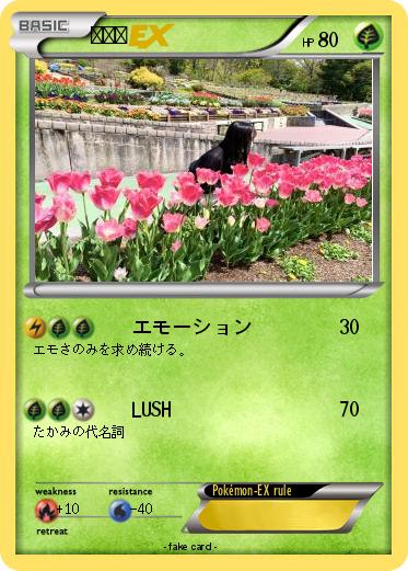 Pokemon たかみ