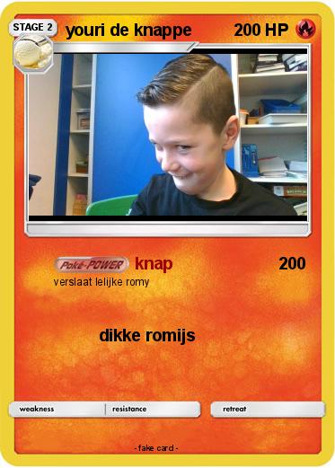 Pokemon youri de knappe