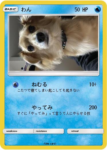 Pokemon わん