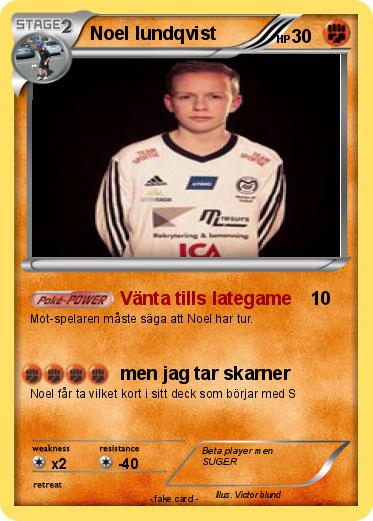 Pokemon Noel lundqvist