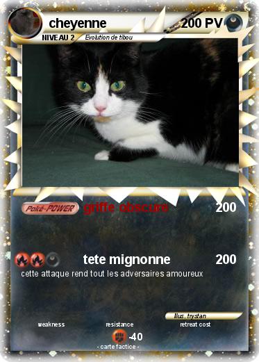 Pokemon cheyenne