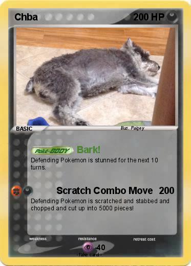 Pokemon Chba