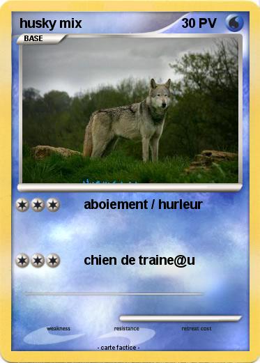 Pokemon husky mix
