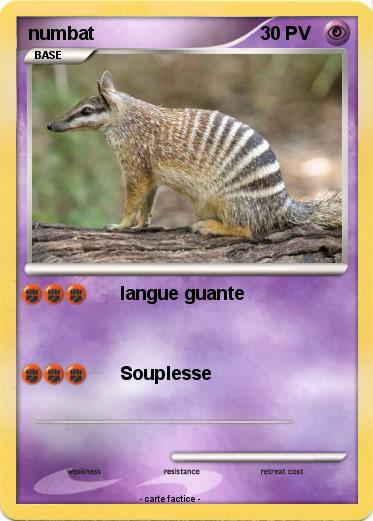 Pokemon numbat