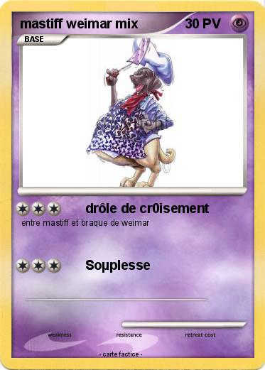 Pokemon mastiff weimar mix