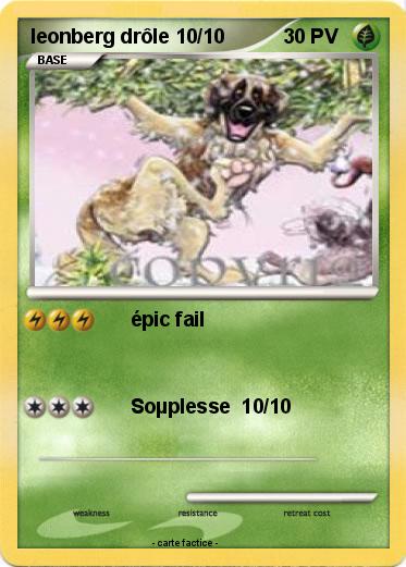 Pokemon leonberg drôle 10/10