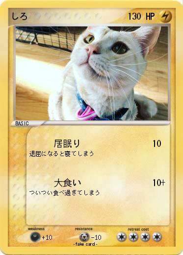 Pokemon しろ