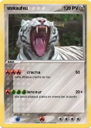 Pokemon stekaufeu