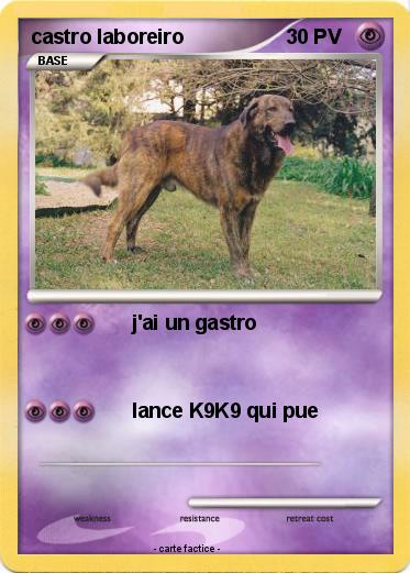 Pokemon castro laboreiro