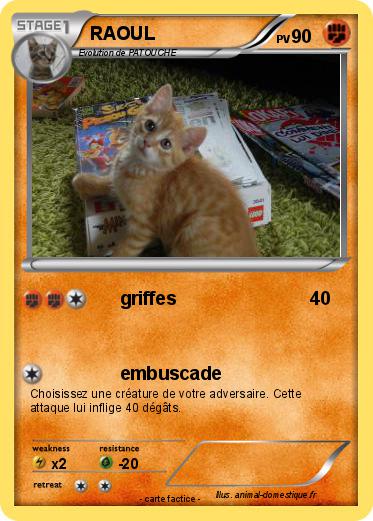 Pokemon RAOUL