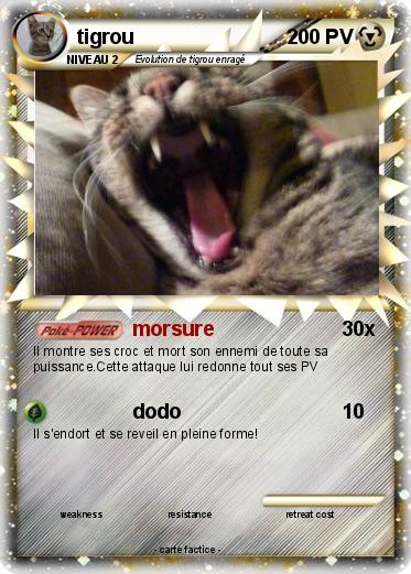 Pokemon tigrou