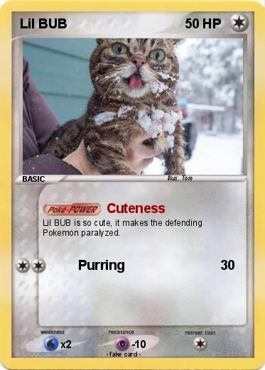 Pokemon Lil BUB