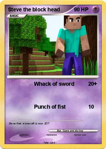 Pokemon Steve the block head