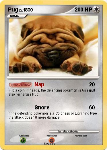 Pokemon Pug
