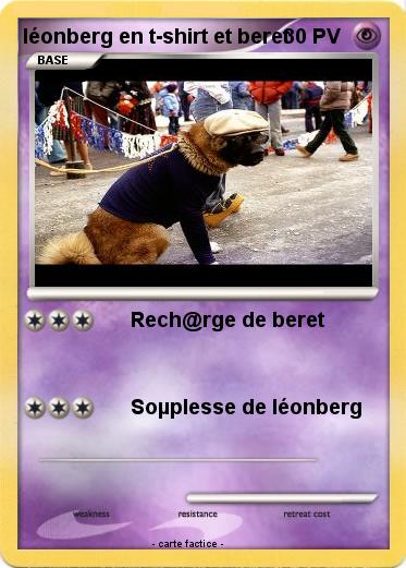 Pokemon léonberg en t-shirt et beret