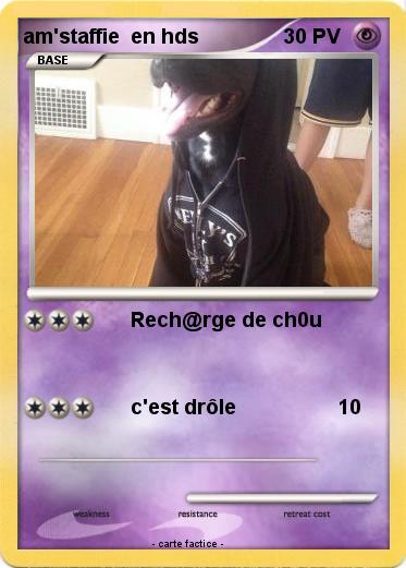 Pokemon am'staffie  en hds