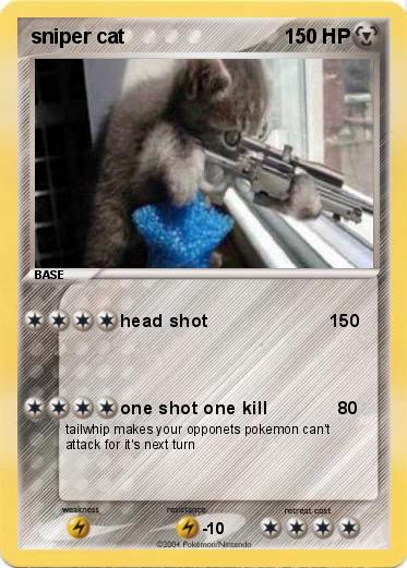 Pokemon sniper cat