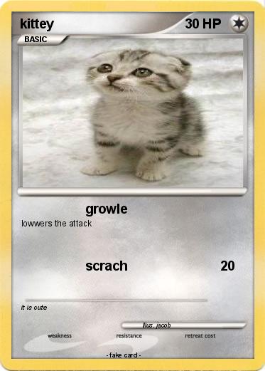 Pokemon kittey