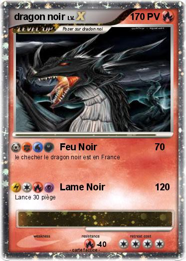 Pokemon dragon noir