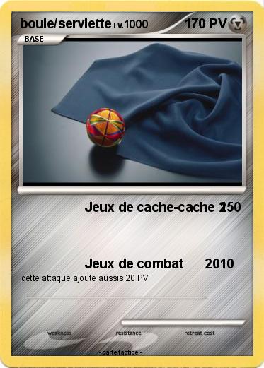 Pokemon boule/serviette
