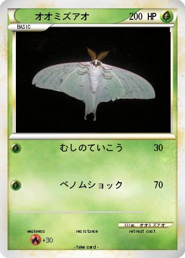 Pokemon オオミズアオ