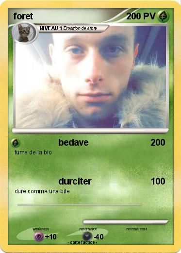 Pokemon foret