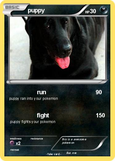 Pokemon puppy