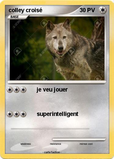 Pokemon colley croisé