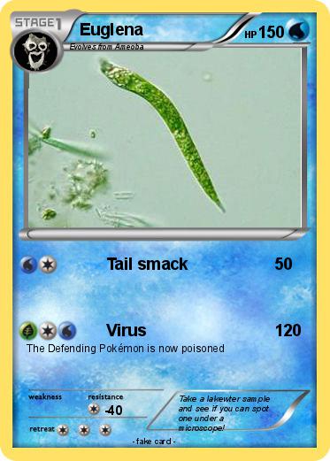 Pokemon Euglena