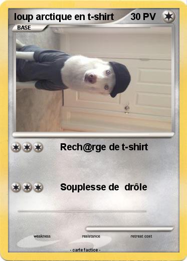 Pokemon loup arctique en t-shirt